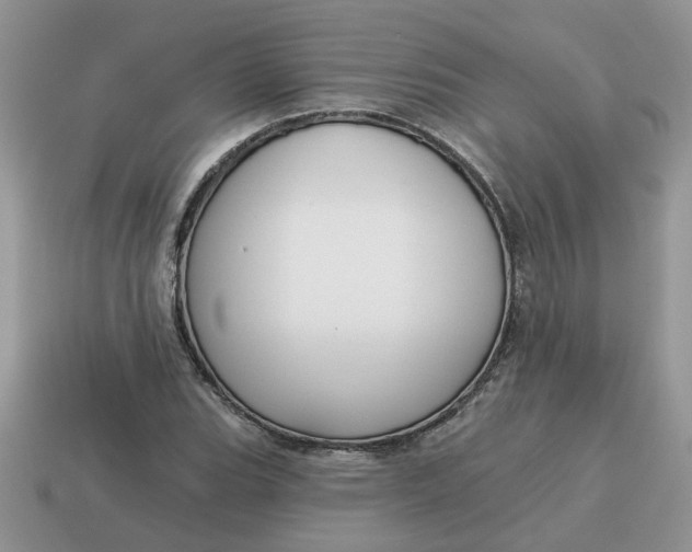 X0000115051119200911091419
