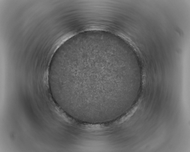 X0000115051121200911091419