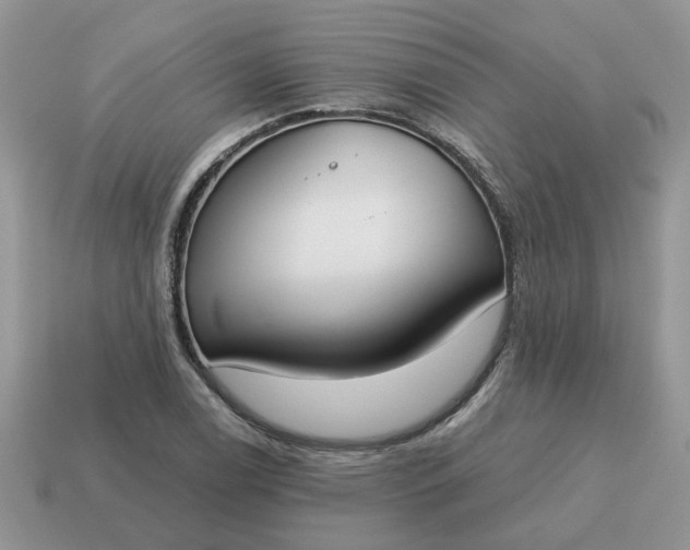 X0000115051122200911091419