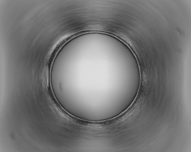 X0000115051123200911091419