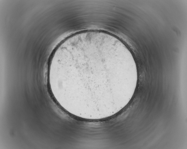 X0000115051126200911091419
