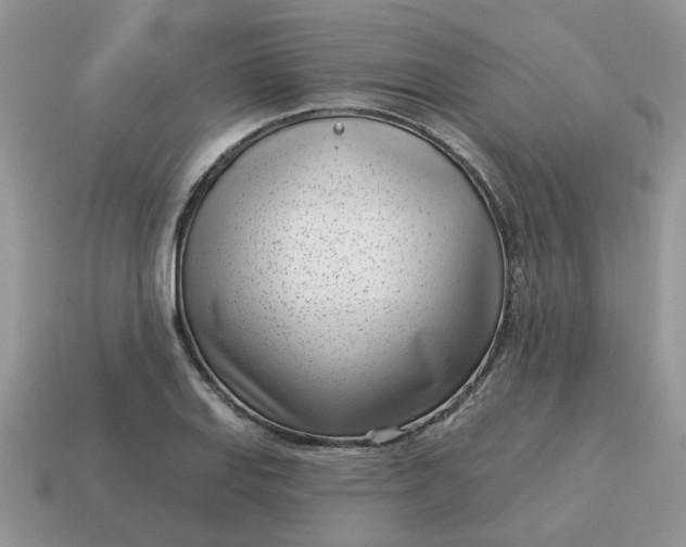 X0000115051127200911091419