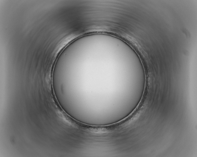 X0000115051129200911091419