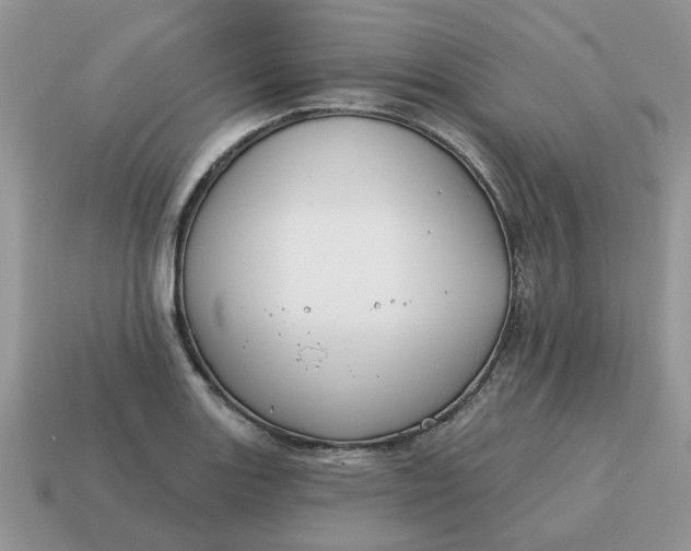 X0000115051131200911091419