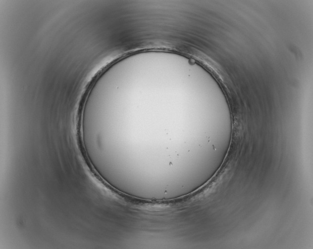 X0000115051135200911091420