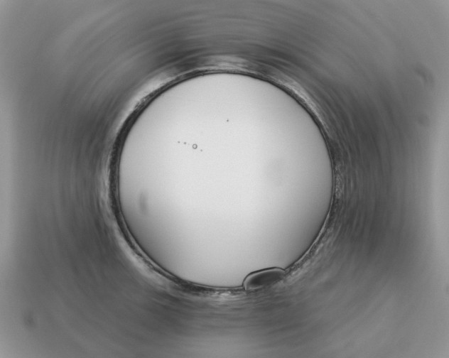X0000115051139200911091420