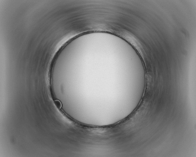 X0000115051141200911091420