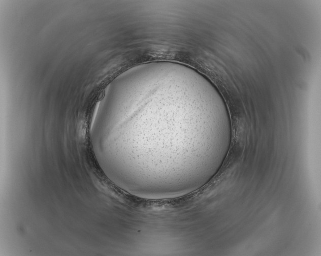 X0000115051154200911091419