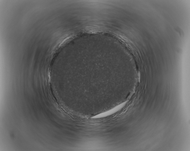 X0000115051155200911091419