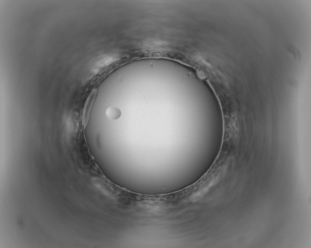 X0000115051157200911091419