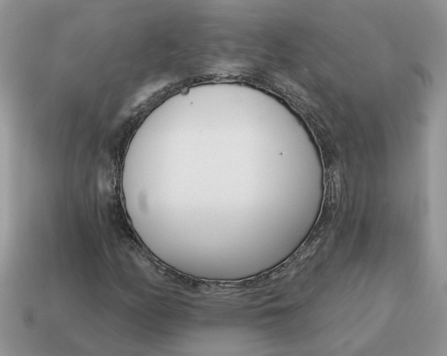 X0000115051158200911091419