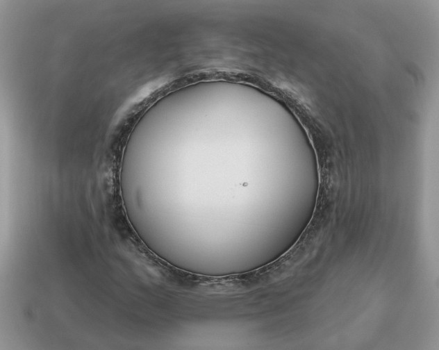 X0000115051159200911091419