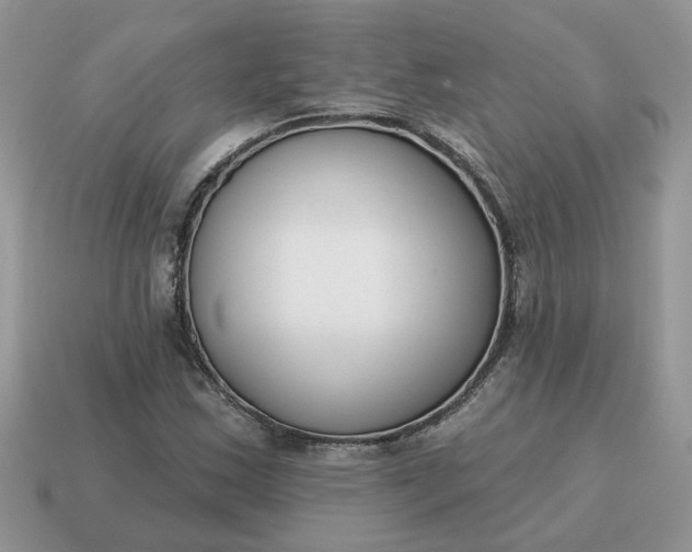 X0000115051163200911091419