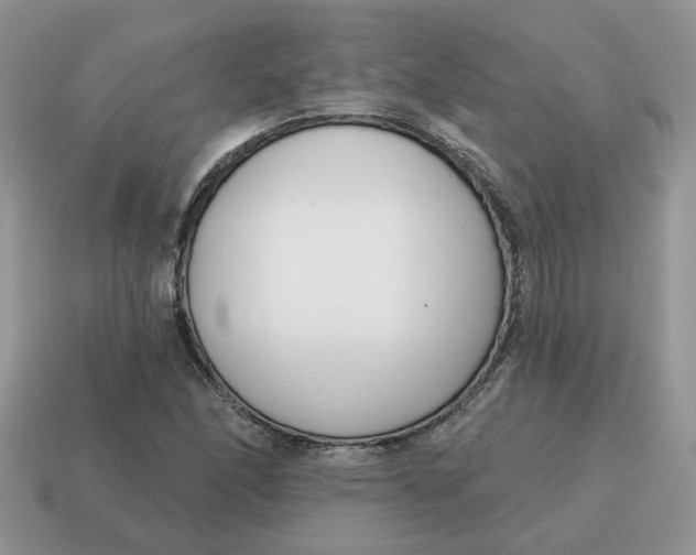 X0000115051166200911091419