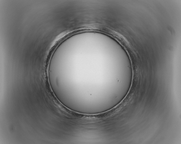 X0000115051168200911091419