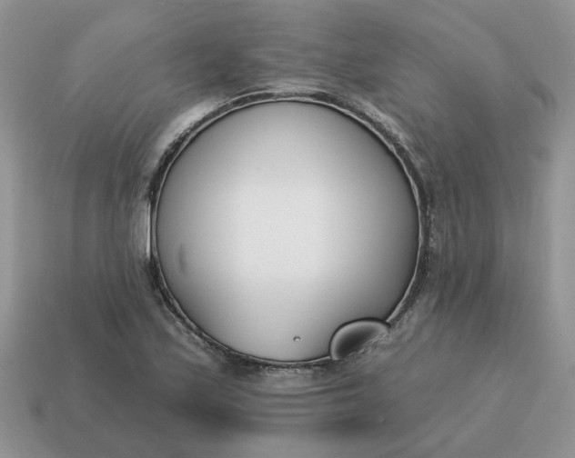 X0000115051171200911091419