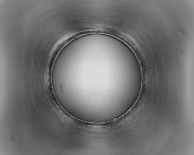 X0000115051172200911091419