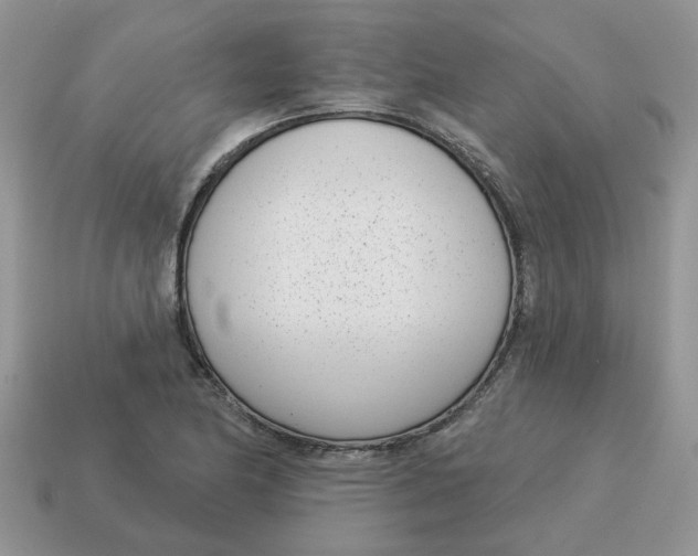 X0000115051174200911091419