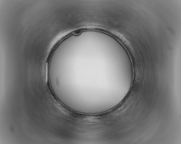 X0000115051175200911091419