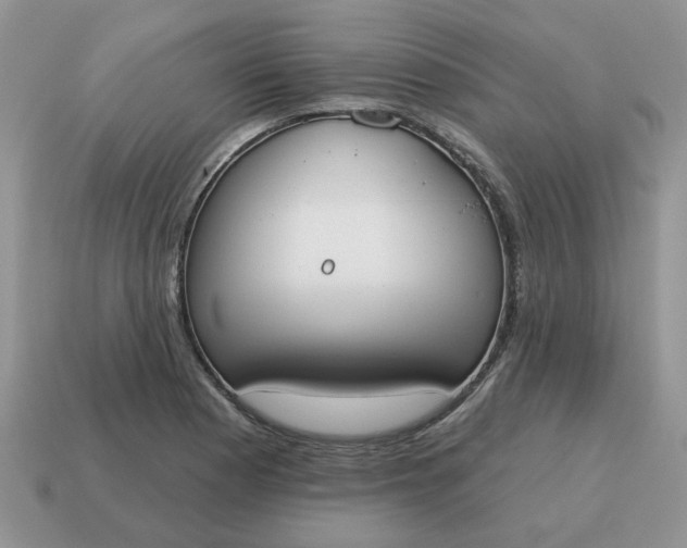 X0000115051177200911091419