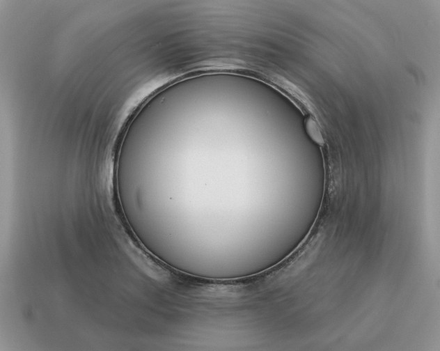 X0000115051179200911091419