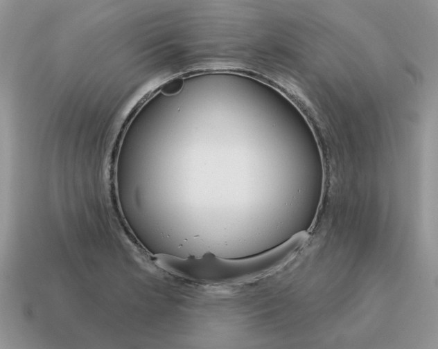 X0000115051181200911091419