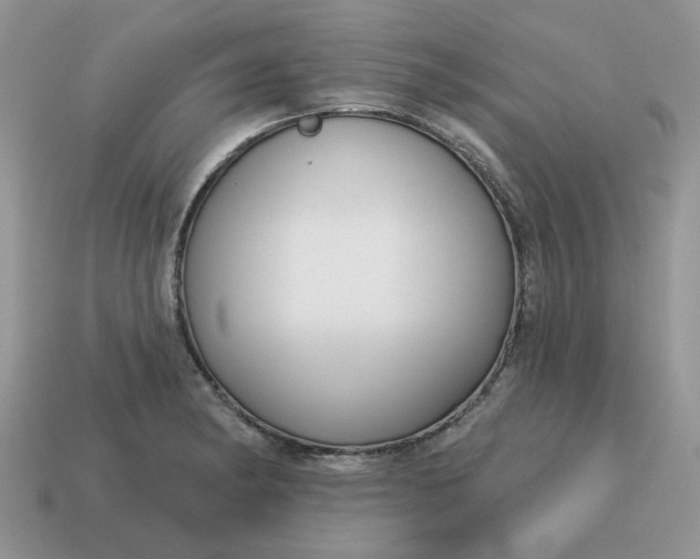 X0000115051182200911091419