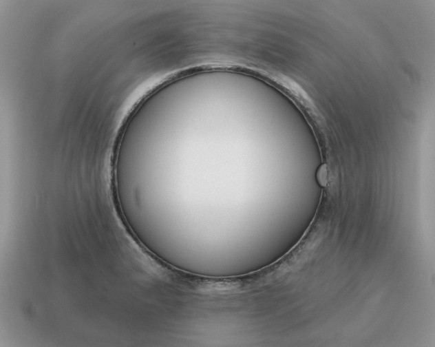X0000115051183200911091419