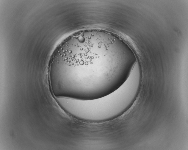 X0000115051184200911091419