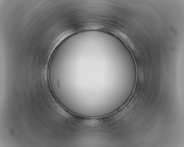 X0000115051186200911091419
