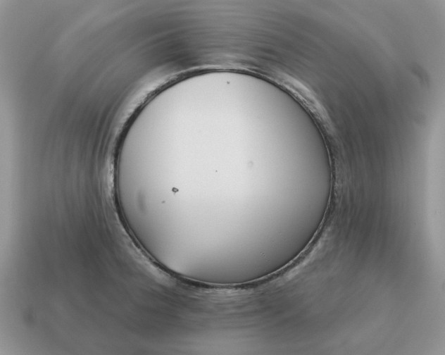 X0000115051188200911091419