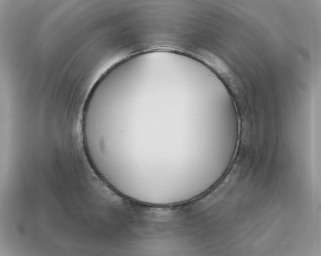 X0000115051190200911091419