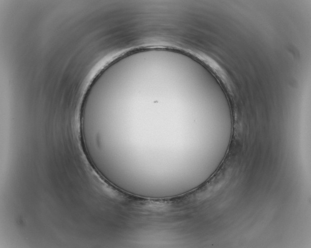 X0000115051191200911091419