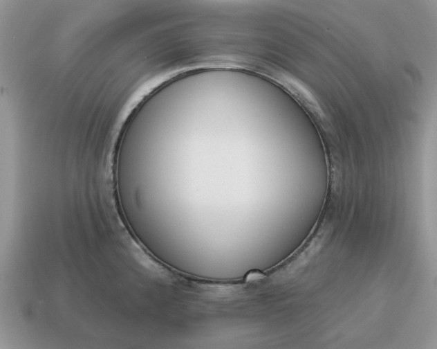 X0000115051192200911091419