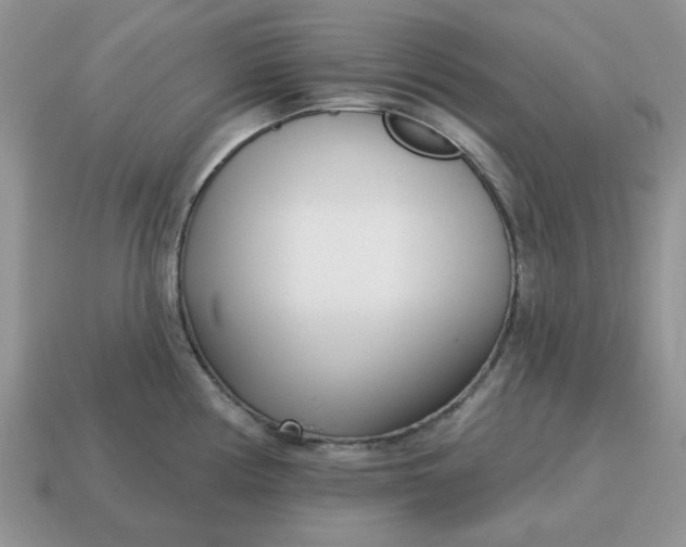 X0000115051194200911091419
