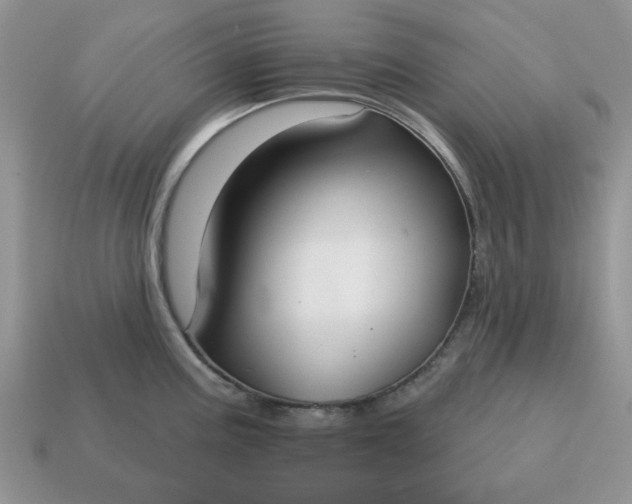 X0000115051195200911091419