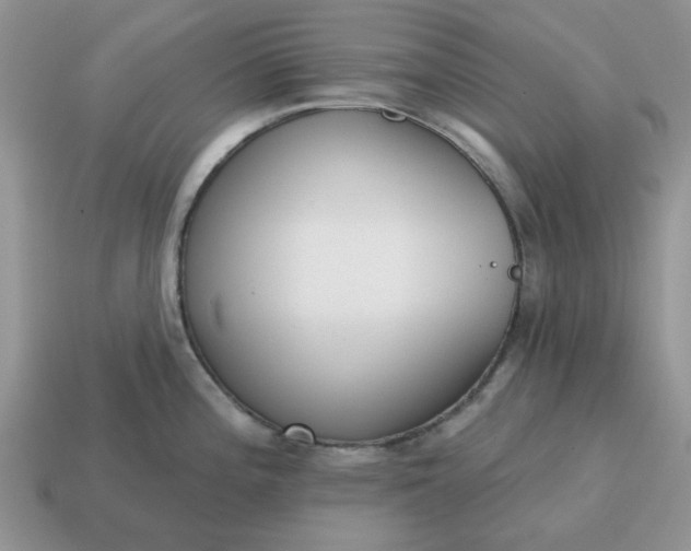 X0000115051196200911091419