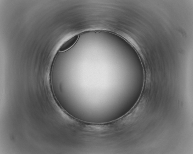 X0000115051197200911091419