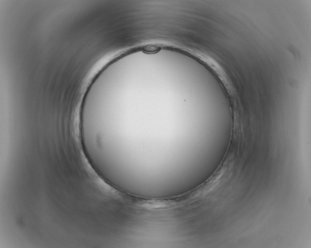 X0000115051199200911091419