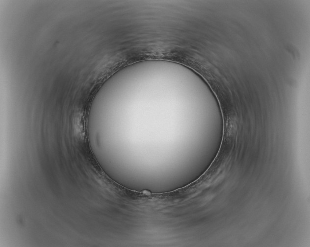 X0000115051202200911091418