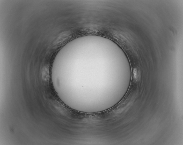 X0000115051203200911091418