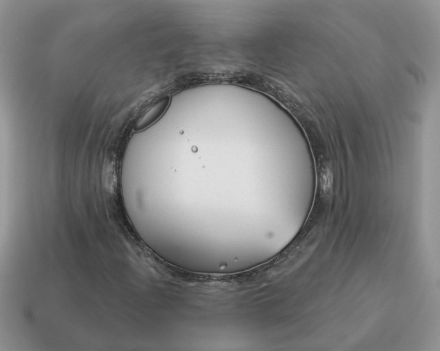 X0000115051204200911091418