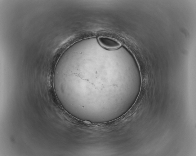 X0000115051205200911091418