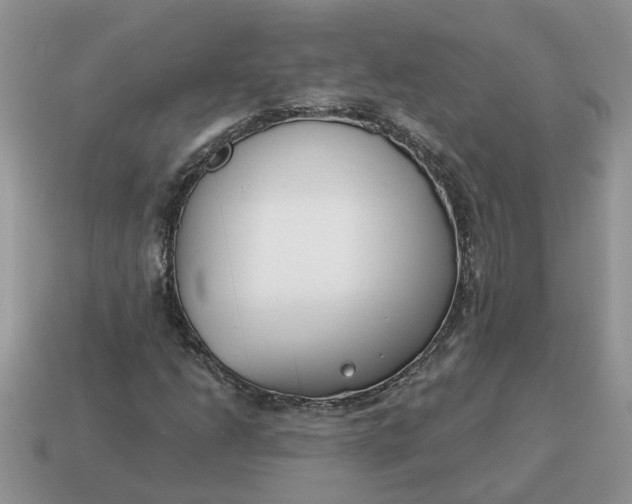 X0000115051206200911091418