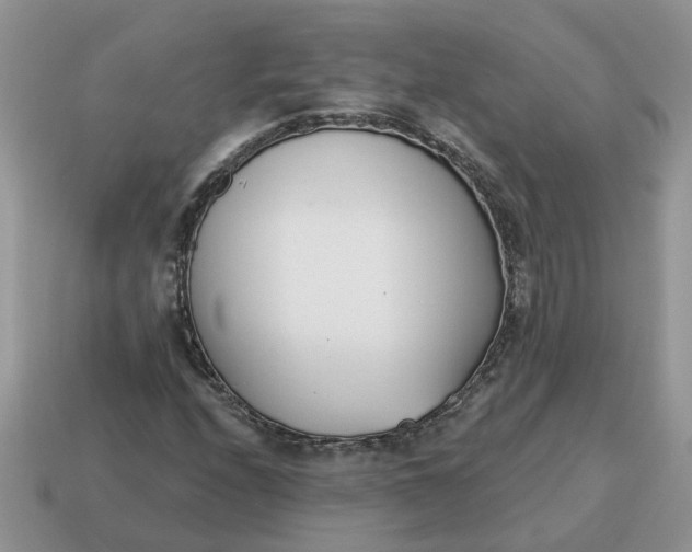 X0000115051208200911091418