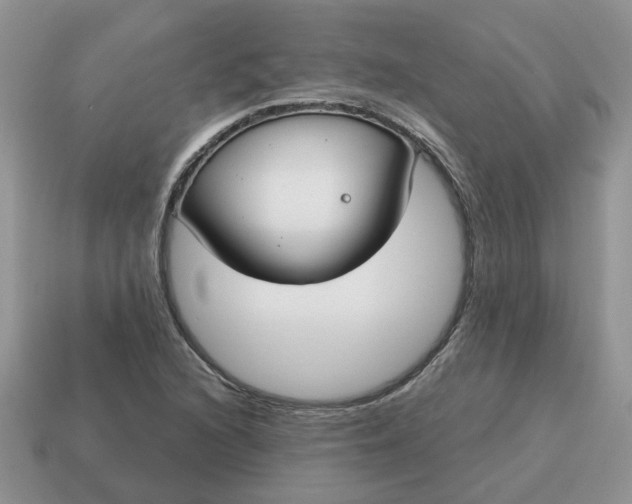 X0000115051216200911091418