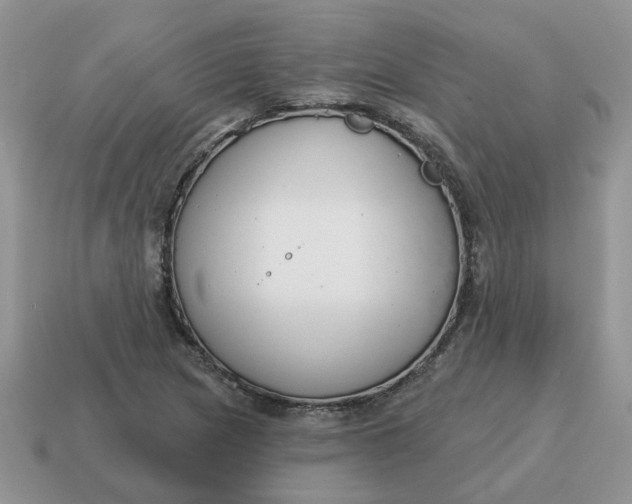 X0000115051217200911091418