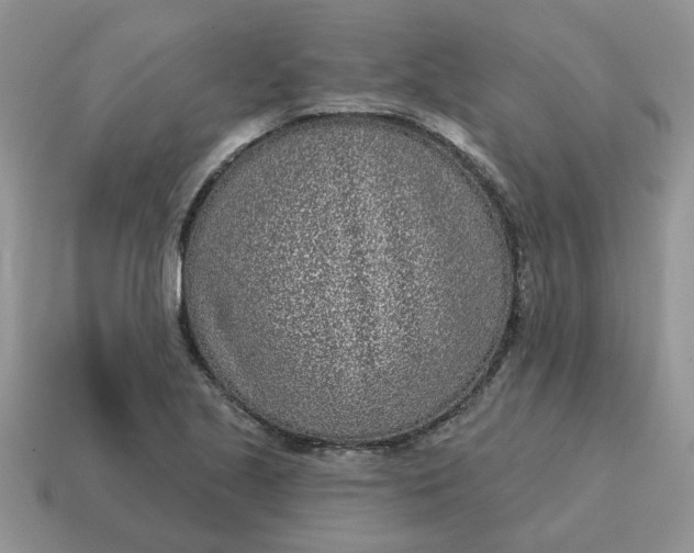 X0000115051221200911091418