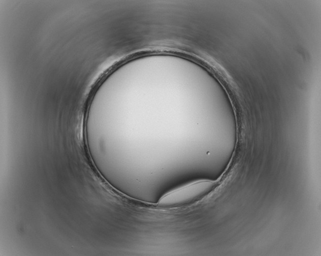 X0000115051224200911091418
