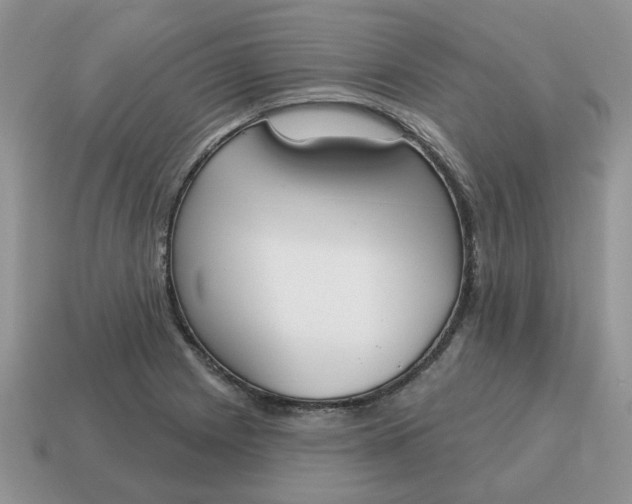 X0000115051225200911091418